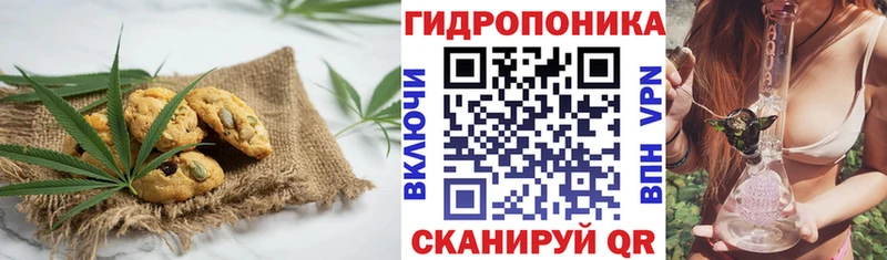 Печенье с ТГК марихуана  наркошоп  Ставрополь 